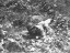 Wil Nikken De Ridge 018